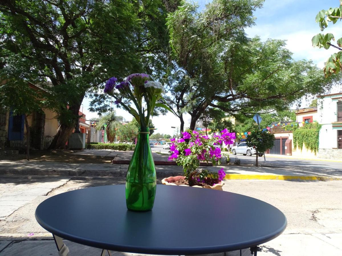 Alojamiento Jalatlaco - Car Rental! Estacionamiento En La Calle Sujeto A Disponibilidad Oaxaca Экстерьер фото